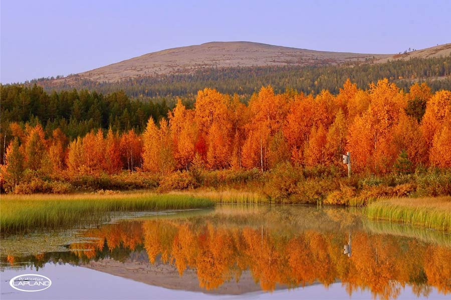 Destination Lapland - September in Lapland – Autumn Colours and the Return of the Northern Lights